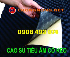 CAO SU LƯU HÓA HÌNH TRỨNG CÁCH ÂM TIÊU ÂM