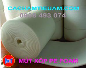 ĐÓNG HÀNG NỘI THẤT GỖ DÙNG MÀNG PE FOAM
