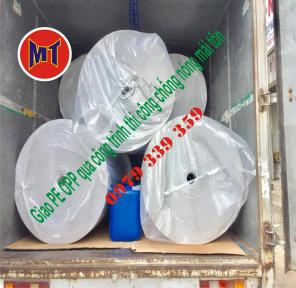Foam bạc chống nóng - giao hàng tận nơi