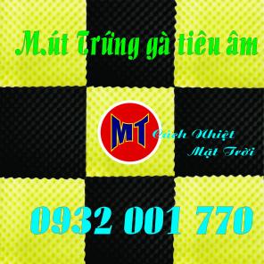 Mút Foam xốp tiêu âm - mút trứng gà tại Thủ Dầu Một Bình Dương 
