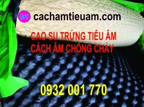 MÚT GAI CAO SU XỐP CÁCH ÂM TIÊU ÂM