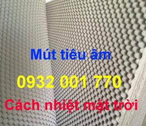 Mút hột gà tiêu âm tại Biên Hòa Dĩ An Thủ Đức - TP HCM