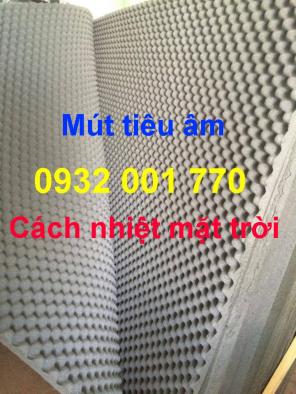 Mút tiêu âm cách âm tại Biên Hòa Đồng Nai