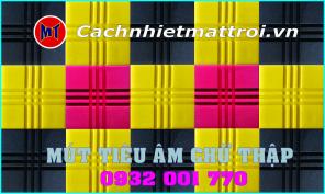 Mút tiêu âm hình chữ thập