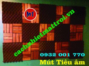 Mút trứng gà cách âm tiêu âm tại Biên Hòa Đồng Nai