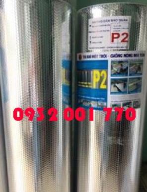 Nơi bán tấm cản nhiệt chống nóng túi khí mặt Trời P1, P2 tại Dĩ An Bình Dương