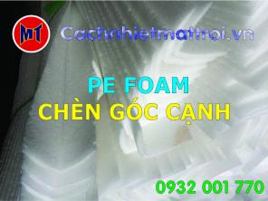 Xốp PE Foam cách nhiêt Mặt Trời chèn góc cạnh hàng hóa